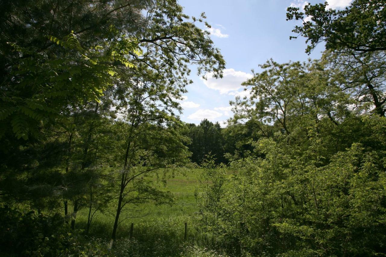 Landpension Germania Neuhausen  Zewnętrze zdjęcie
